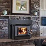 Blaze King Princess 29 Wood Insert